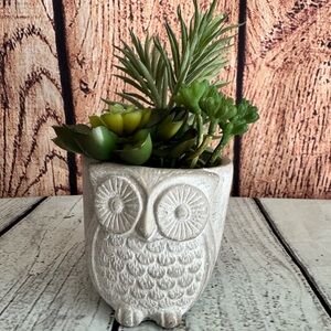 Owl Planter With Faux Succulents Gray Cement Look Desk Decor Gift